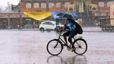 MP Weather: अगले 3 दिन हल्की बारिश, फिर अगले हफ्ते भारी बारिश का अलर्ट; 30 जिलों में सामान्य से ज्यादा बरसात 6 11A 123