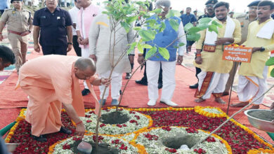 गोरखपुर से पौधरोपण महायज्ञ का शुभारंभ करेंगे मुख्यमंत्री योगी 5 11A 174