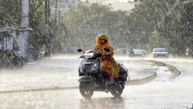 MP Weather Update: 22 जिलों में आज बूंदाबांदी के आसार, 16 जुलाई से एक्टिव होगा नया सिस्टम, फिर होगी भारी बारिश 5 13A 84