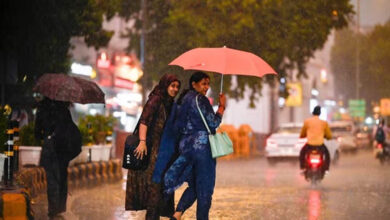 एमपी में जुलाई में मार्च-अप्रैल जैसी गर्मी, पारा 36°C के पार; अगले 5 दिन भारी बारिश के आसार नहीं 3 15A 48