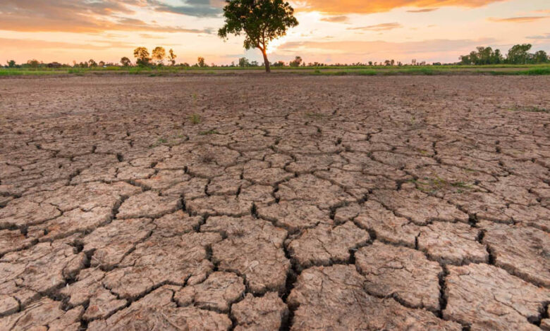 MP Weather: 33 जिलों में सामान्य से कम बारिश, किसानों की बढ़ी चिंता; फिलहाल भारी बारिश के संकेत नहीं 1 16A 182