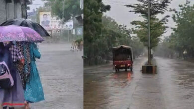 MP Weather: मध्य प्रदेश के 7 जिलों में भारी बारिश का अलर्ट, बालाघाट-डिंडौरी में अति भारी वर्षा की चेतावनी 8 1A 62