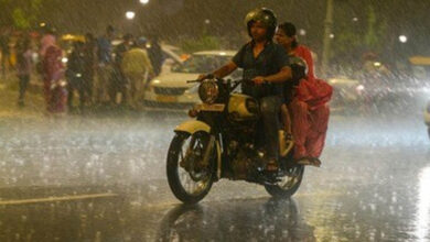 MP Weather: 13 जिलों में भारी बारिश का अलर्ट, आज उज्जैन और ग्वालियर-चंबल पहुंचेगा मानसून 7 2 ju 92