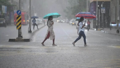 MP Weather Alert: ग्वालियर-चंबल में आज भारी बारिश, भिंड में रेड अलर्ट; उज्जैन-सागर भी होंगे तरबतर 9 9A 78