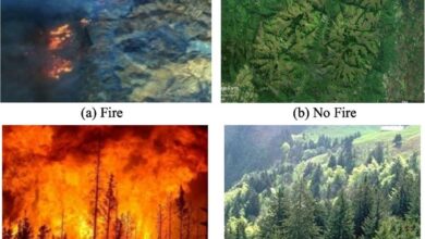 आधुनिक तकनीक से वन संरक्षण को नई दिशा 1 Fire 01