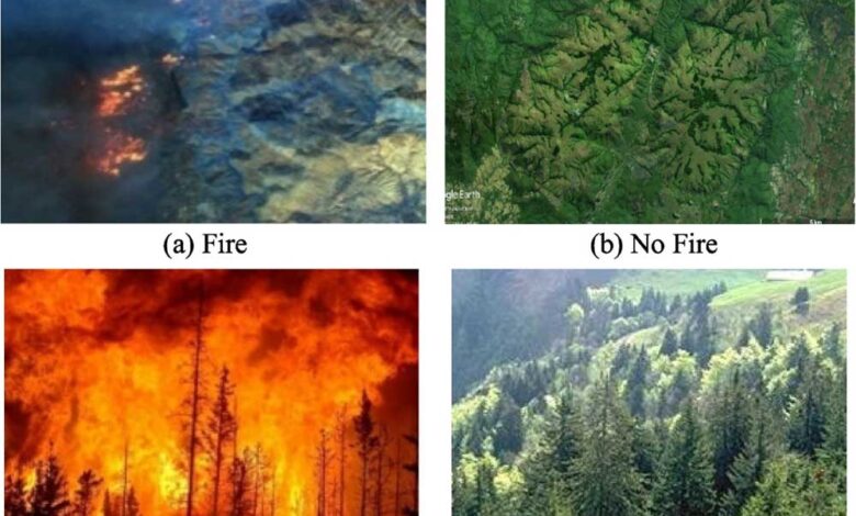 आधुनिक तकनीक से वन संरक्षण को नई दिशा 1 Fire 01