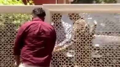 फिरोजपुर में प्रॉपर्टी डीलर के घर ED की बड़ी कार्रवाई, सुबह से बंद दरवाजों के भीतर चल रही रेड 1 Punjab News 03 1 12