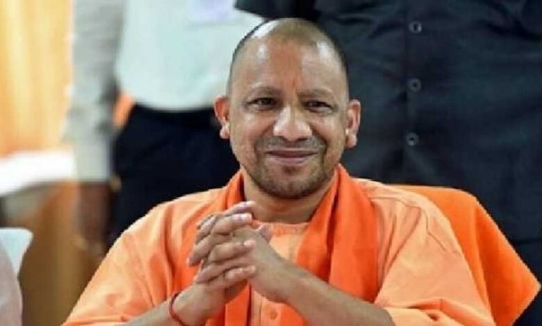 Yogi 07 11