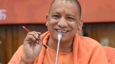 Yogi 08