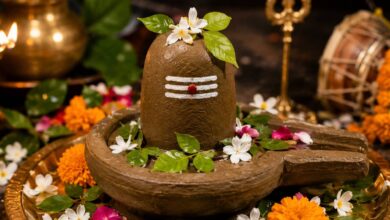 Spiritual: सावन में पार्थिव शिवलिंग पूजा, विधि, नियम और सावधानियां जानिए 3 Spiritual: सावन में पार्थिव शिवलिंग पूजा, विधि, नियम और सावधानियां जानिए