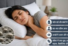 आपका तकिया ही बन रहा है गर्दन दर्द की वजह? हर 2 साल में बदलने की सलाह क्यों देते हैं विशेषज्ञ 82 आपका तकिया ही बन रहा है गर्दन दर्द की वजह? हर 2 साल में बदलने की सलाह क्यों देते हैं विशेषज्ञ
