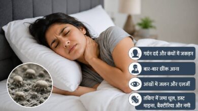 आपका तकिया ही बन रहा है गर्दन दर्द की वजह? हर 2 साल में बदलने की सलाह क्यों देते हैं विशेषज्ञ