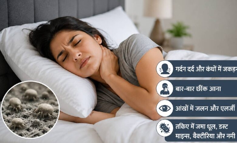 आपका तकिया ही बन रहा है गर्दन दर्द की वजह? हर 2 साल में बदलने की सलाह क्यों देते हैं विशेषज्ञ