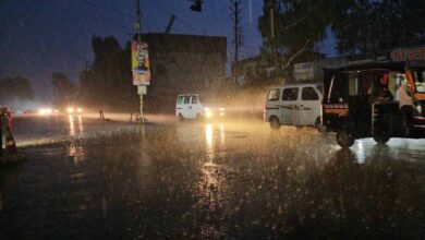 चंडीगढ़ में बारिश-आंधी का कहर, पेड़ गिरा; पंजाब में भारी बारिश का अलर्ट, सिरमौर में स्कूल-कॉलेज बंद 8 rain 67 1