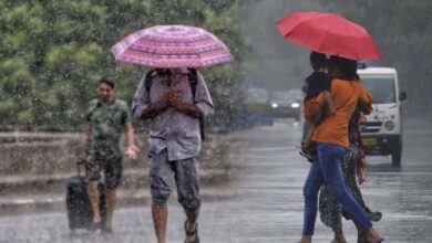 मध्य प्रदेश में 11% बारिश की कमी, जबलपुर समेत 35 जिले सूखे की चपेट में; 19 जुलाई से भारी बारिश के संकेत 1 rain 81 3 3
