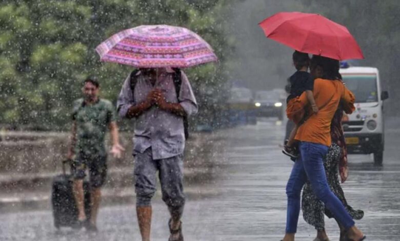 मध्य प्रदेश में 11% बारिश की कमी, जबलपुर समेत 35 जिले सूखे की चपेट में; 19 जुलाई से भारी बारिश के संकेत 1 rain 81 3 3