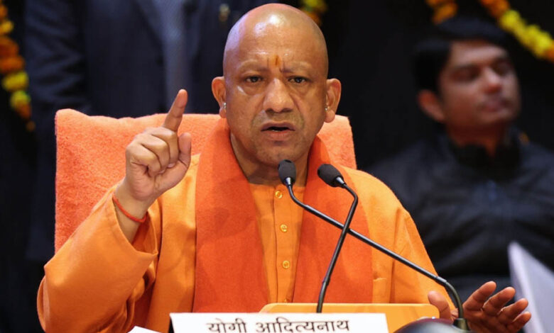 yogi 133 1 2