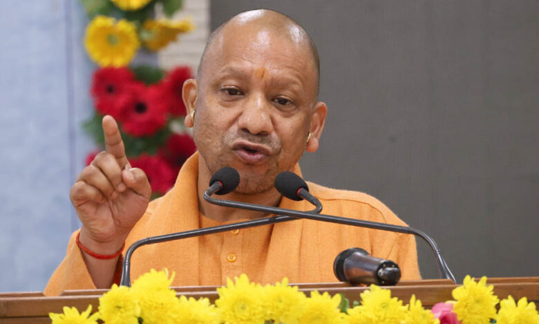 yogi 133 6 1