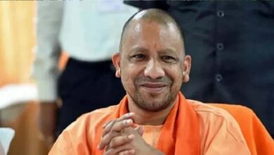 yogi 2 27 2 4