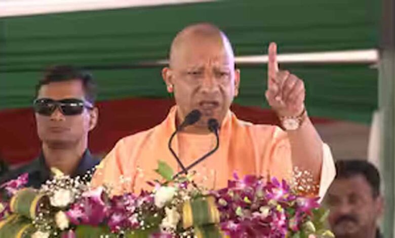 yogi 3