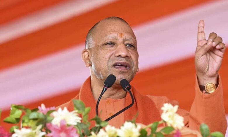 yogi 31 1 1