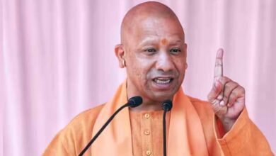 yogi cm 132 1 1