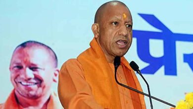योगी सरकार की बागवानी योजना से किसानों की बढ़ रही आय, आधुनिक खेती को मिल रहा बढ़ावा 6 yogi d 93 3