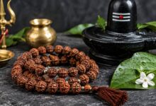 सावन में रुद्राक्ष पहनने से पहले जान लें ये नियम, सही विधि से मिलेगा भगवान शिव का आशीर्वाद